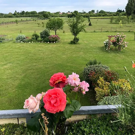 Gayet - 2 Maisons De Jumelles Patiras Et Mascaret Vakantiehuis *
